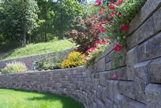 Curved tan concrete retaining wall block with red climbing roses along a landscaped slope.