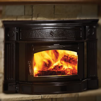 Black cast-iron wood-burning fireplace insert with an arched glass door in a stone surround.